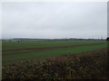 Farmland, Egmanton Common Farm