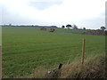 SK7659 : Farmland near Bathleyhill Farm by JThomas