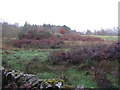 Rough grazing near Laurieston