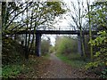 Footbridge on the Trans Pennine Trail