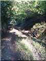 Path and bridleway, east of Aldbury