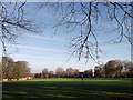 South Croydon Recreational Ground