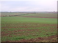 Farmland near Egmanton