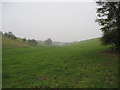 Broach  Dale  towards  the  Chalk  Pit