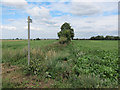 TL5573 : Footpath to Soham Lode by Hugh Venables