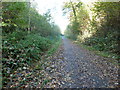 Cuckoo Trail entering Horam