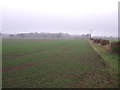 Farmland near Bevercotes