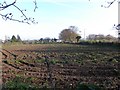 Ploughed field, Clady