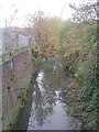 Wortley Beck - Royds Lane