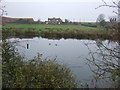 River Poulter in flood