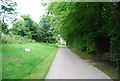 Farm access track, Foxcombe Farm