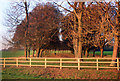 Evening Light near Radley College