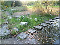 Stepping stones at Russia Dock Woodland