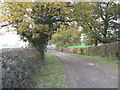 Track to Beech House Farm & Surrey Hall