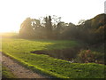 The course of the Ash Brook as it flows past Primrose Hill Woods