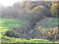 Ash Brook & Primrose Hill Woods