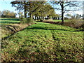 Footpath to the Cross in Hand Stud