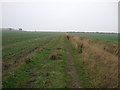 Farm track south of Retford