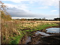 Farmland at North Mains