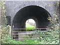 Farm access tunnel under the main line at Lea Hall farm