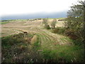 Fields near Fowlis Wester