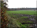 Fields near Milton of Cultoquhey