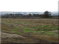 Fields just east of Crieff