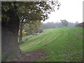 Steep bank & woodland beside the Shropshire Union Canal looking North