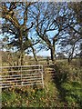 Ladder stile on the Two Moors Way