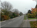 Selby Lane, looking east