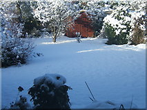 SU7672 : A suburban garden in the snow by Ruth Riddle