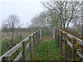 Footpath towards Cotgrave