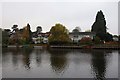 Houses by the Thames