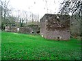 Mill of Doune, ruins [2]