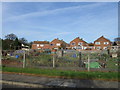 Allotment Gardens, Clousden Drive, Longbenton