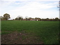 Track of old Roman Road looking North to New Farm