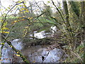 The River Weaver looking upstream