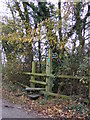 TM2070 : Footpath to Athelington Hall by Geographer