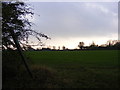 Footpath to Southolt Hall