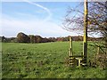 Field stile near Adlington Hall Farm