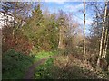 The path to Chorley Road at Adlington