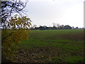 Footpath to Worlingworth Road