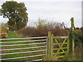 Stile & Footpath at Paradise Farm