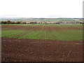 Fields above Madderty