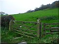 SE9990 : Field gate with two footpath waymarks by Christine Johnstone