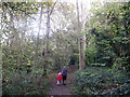 Path in Foxley Wood