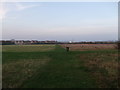 A junction of paths in Roundshaw Recreational Ground