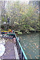 Clearance work near Coxmoor Bridge