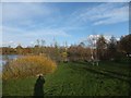 One of the fishing lakes at Goodiford Mill