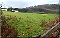 A distant view of wooded hillside near Draethen